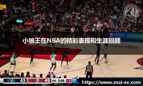 小狼王在NBA的精彩表现和生涯回顾