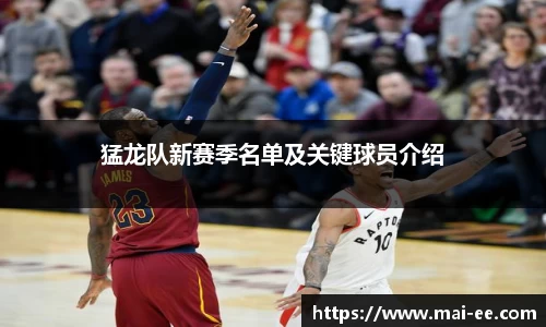 猛龙队新赛季名单及关键球员介绍